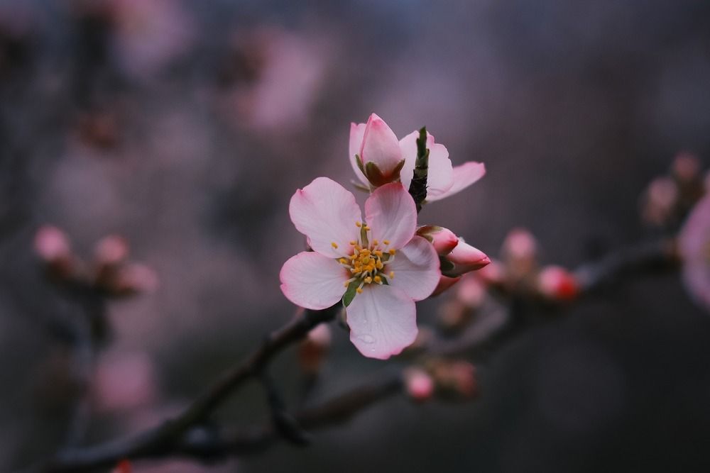 Spring time!