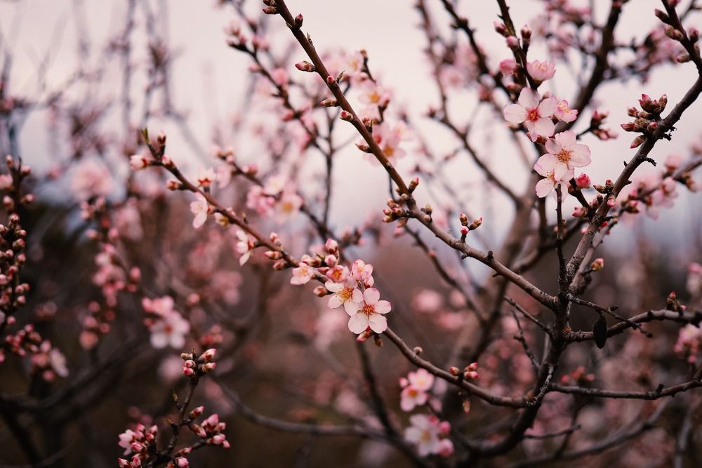 Spring time!