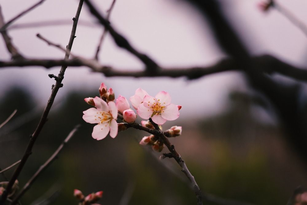 Spring time!