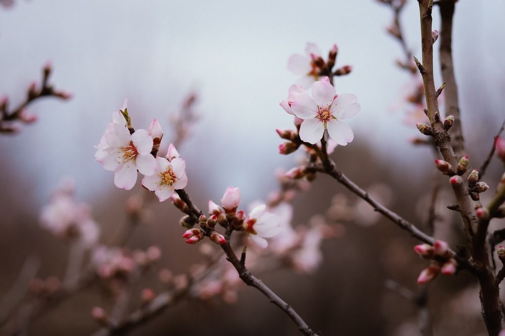 Spring time!
