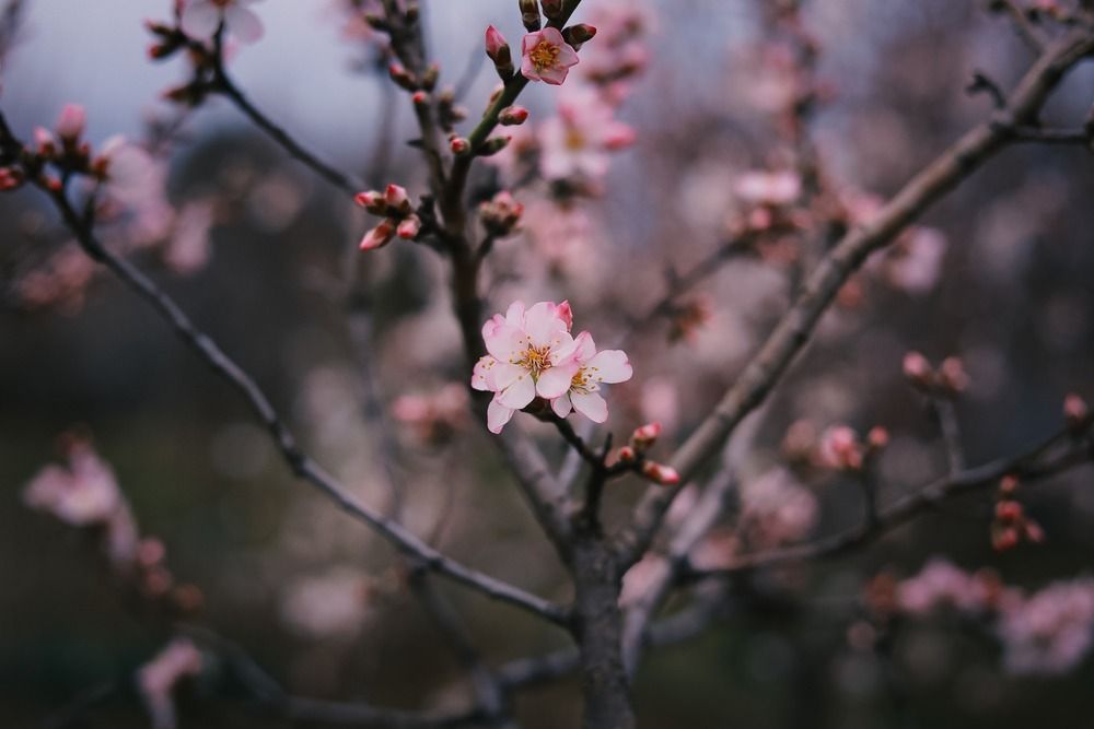 Spring time!