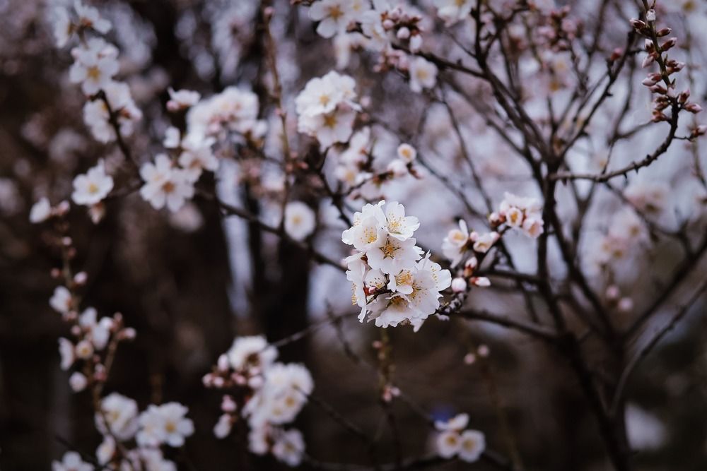 Spring time!