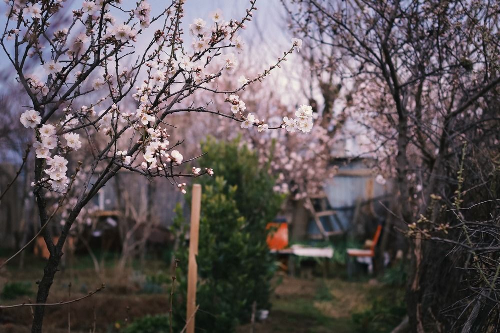 Spring time!