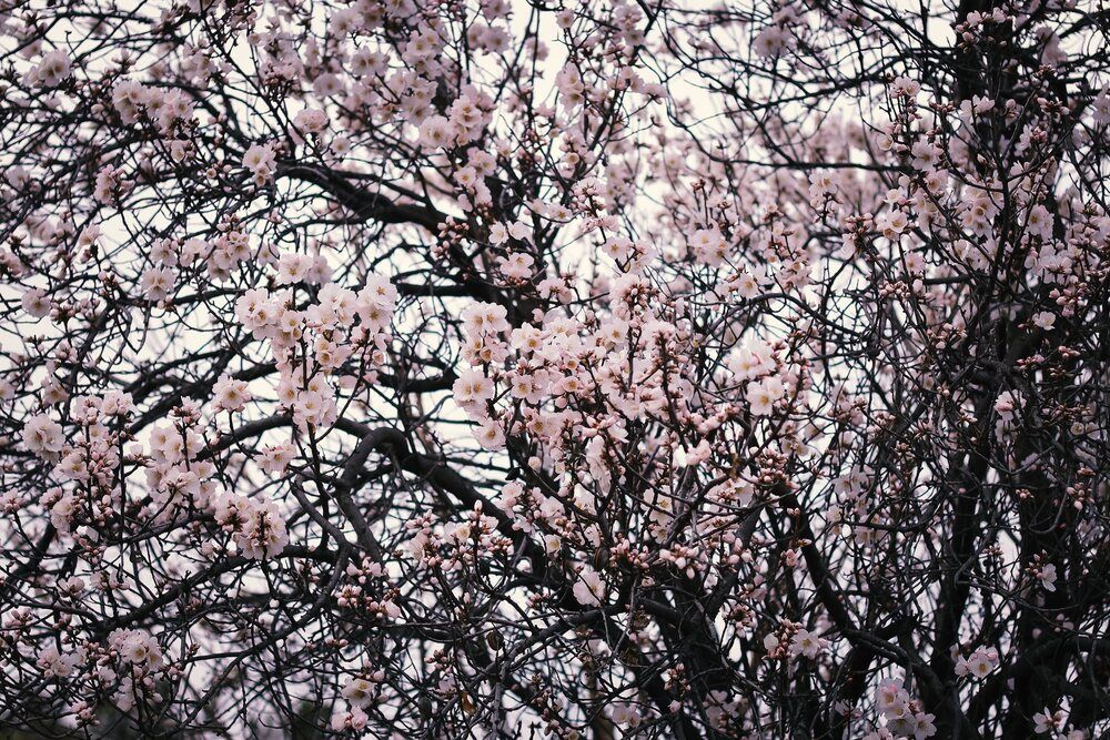 Spring time!