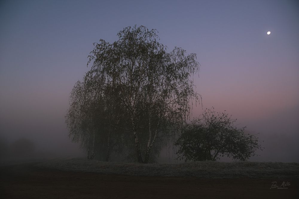 Предрассветное