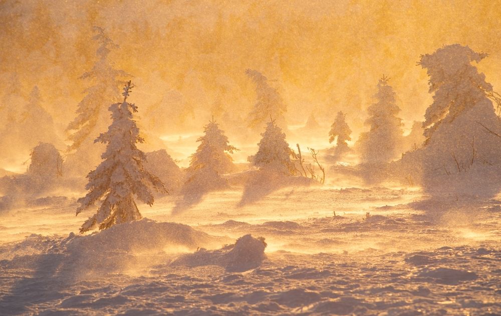 Склоны в огне