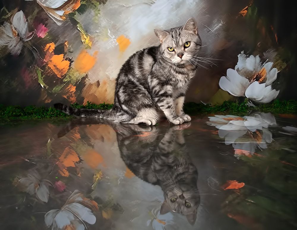 Cats Spring Time.Поздравляем Всех Женщин С Праздником 8 Марта!