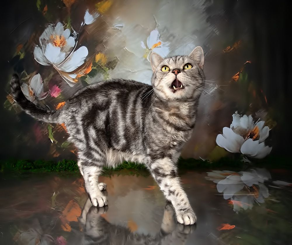 Cats Spring Time.Поздравляем Всех Женщин С Праздником 8 Марта!