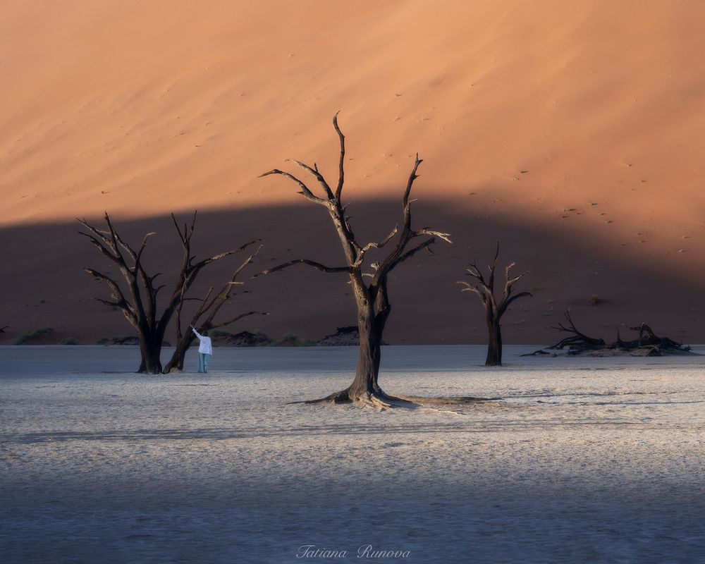 Минималистичные пейзажи Deadvlei