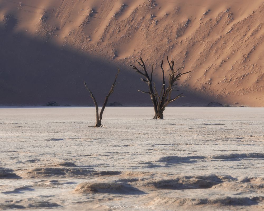 Минималистичные пейзажи Deadvlei