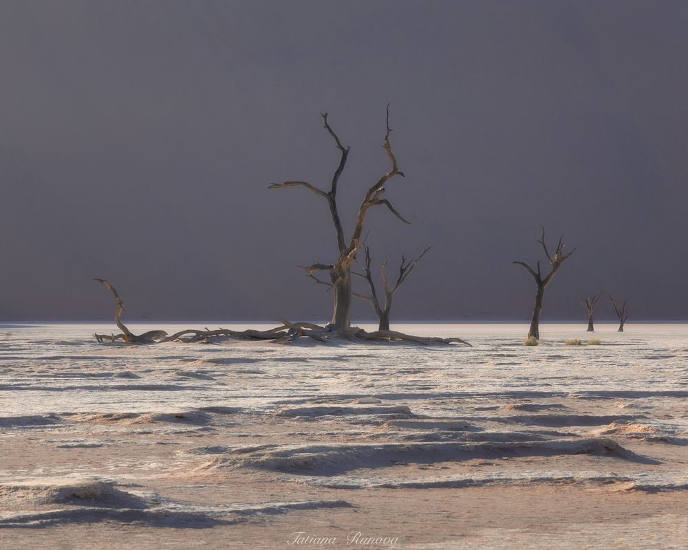 Минималистичные пейзажи Deadvlei