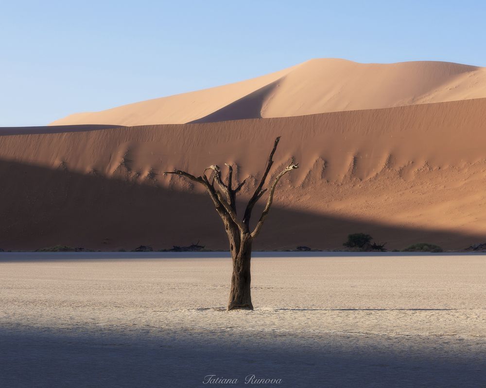 Минималистичные пейзажи Deadvlei
