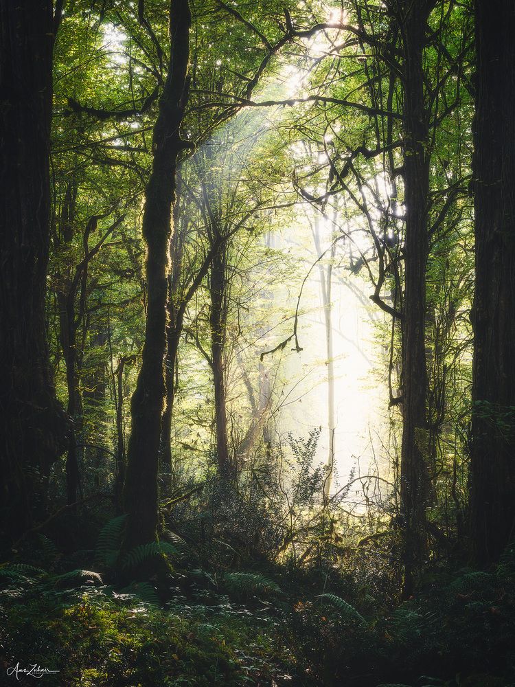 Spot Light