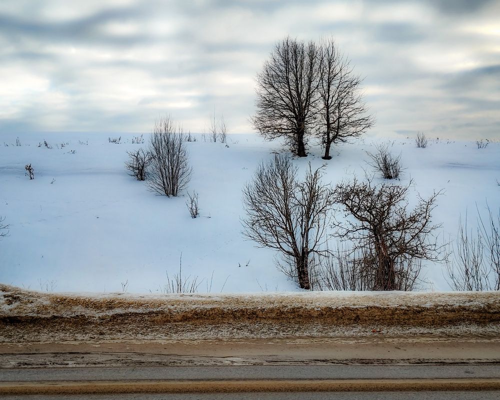 Photo 3023123