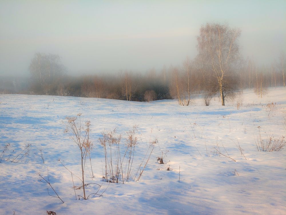 Photo 3023737