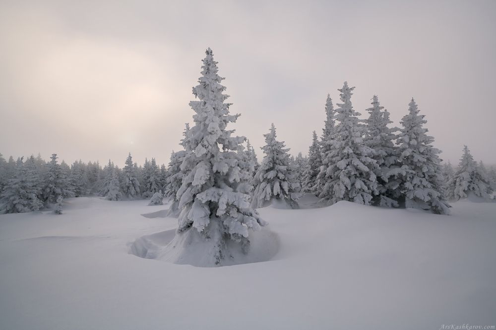 Ели Таганая
