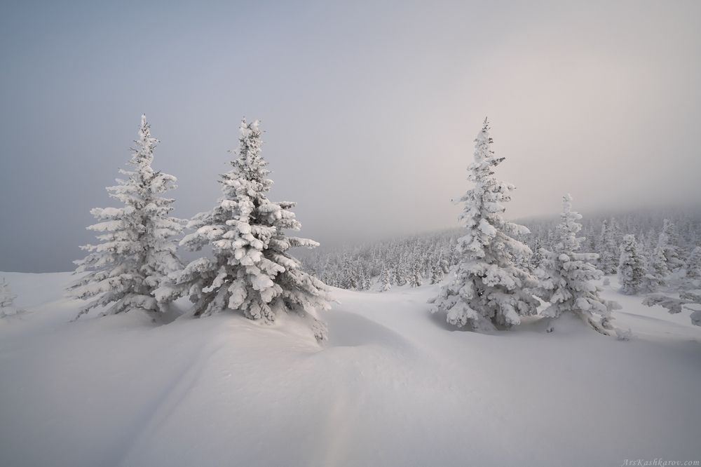 Ели Таганая