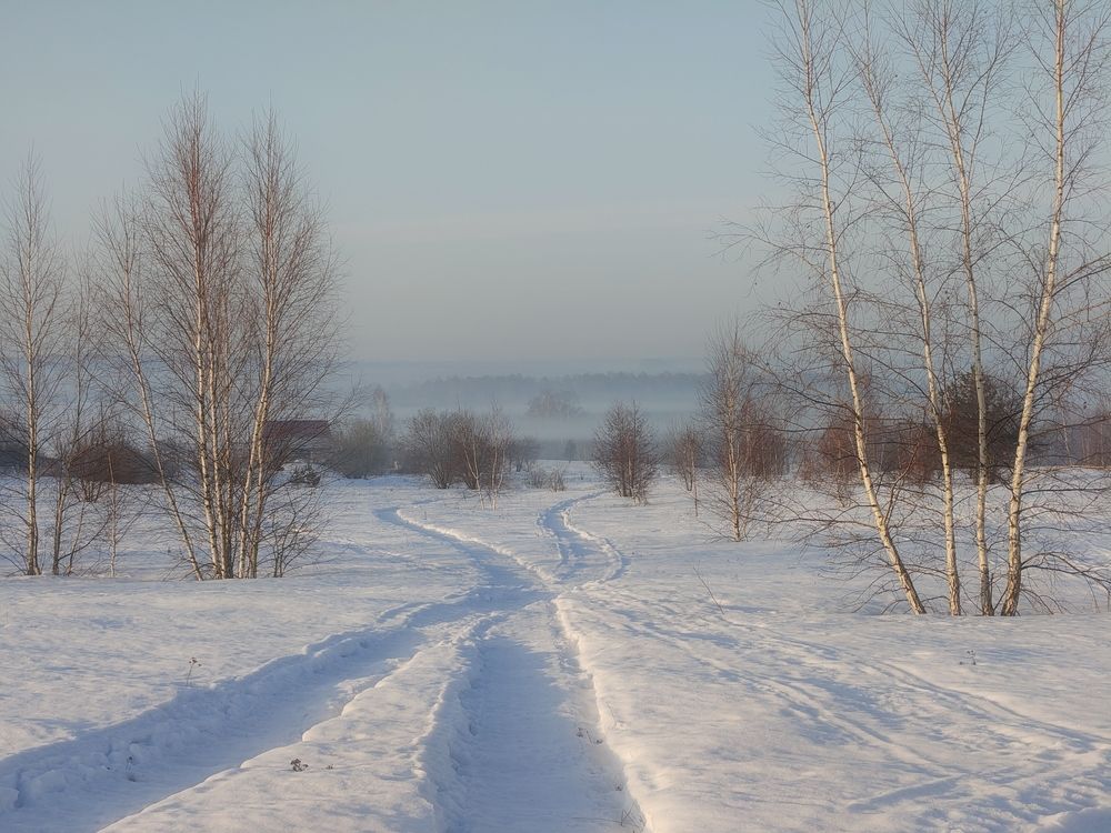 Photo 3024270