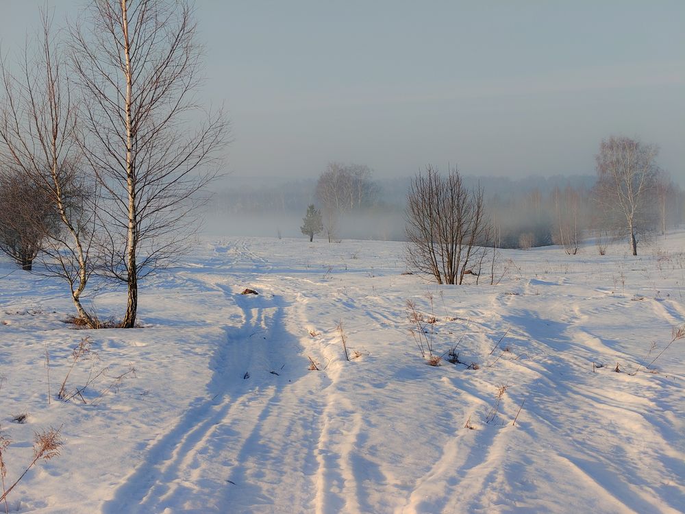 Photo 3024271