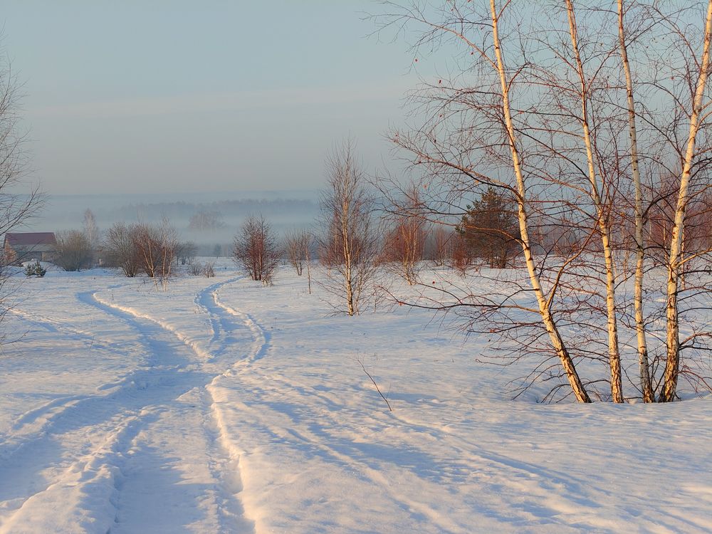 Photo 3024272
