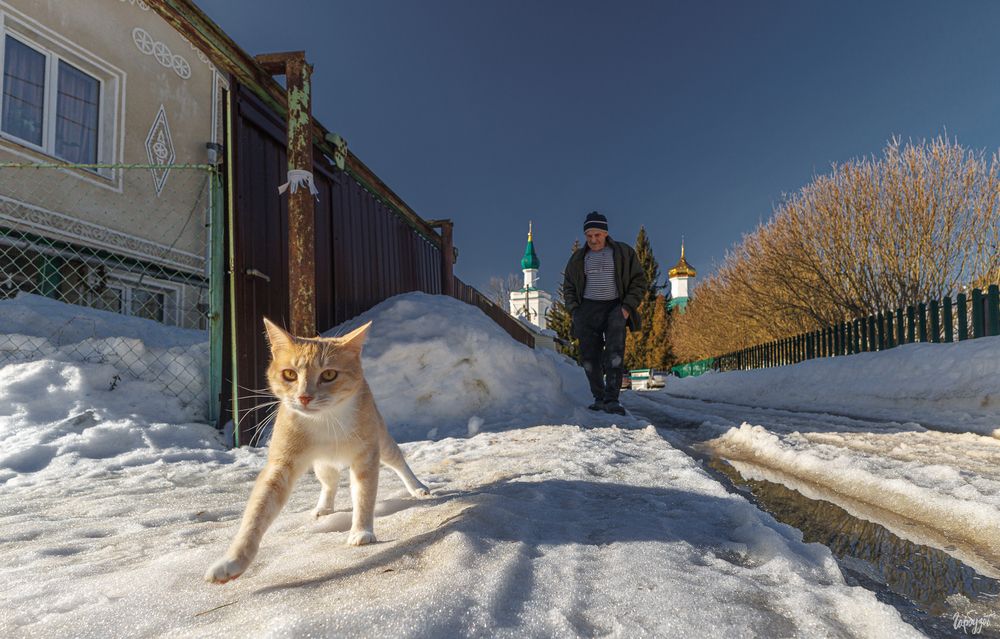 Никольская церковь в Кочаках &mdash; храм, где крестили Льва Толстого