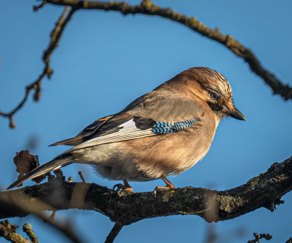 Photo 3024708