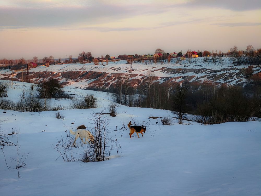 Photo 3024927