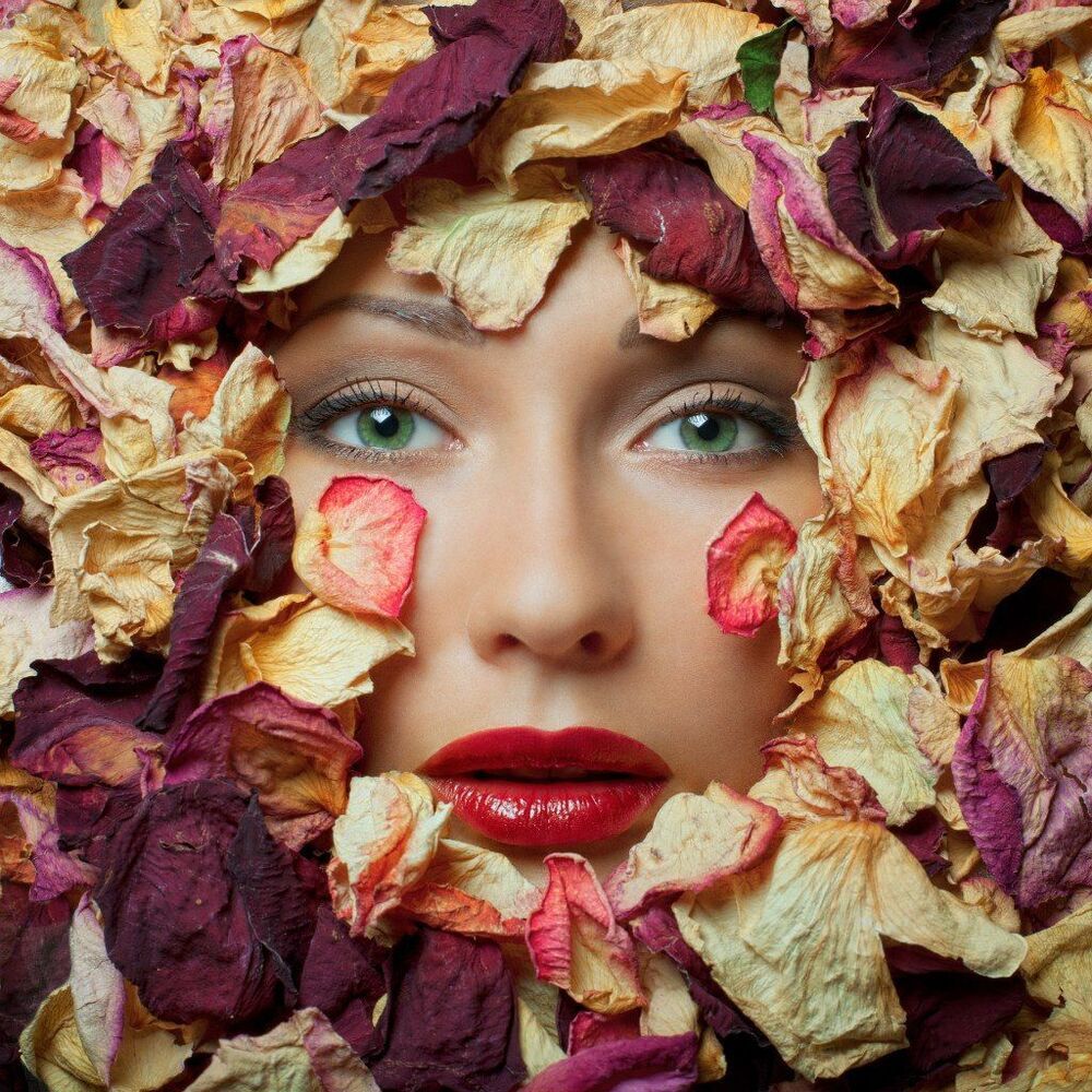 Photo 303011