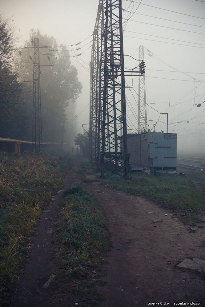 Сегодня утром