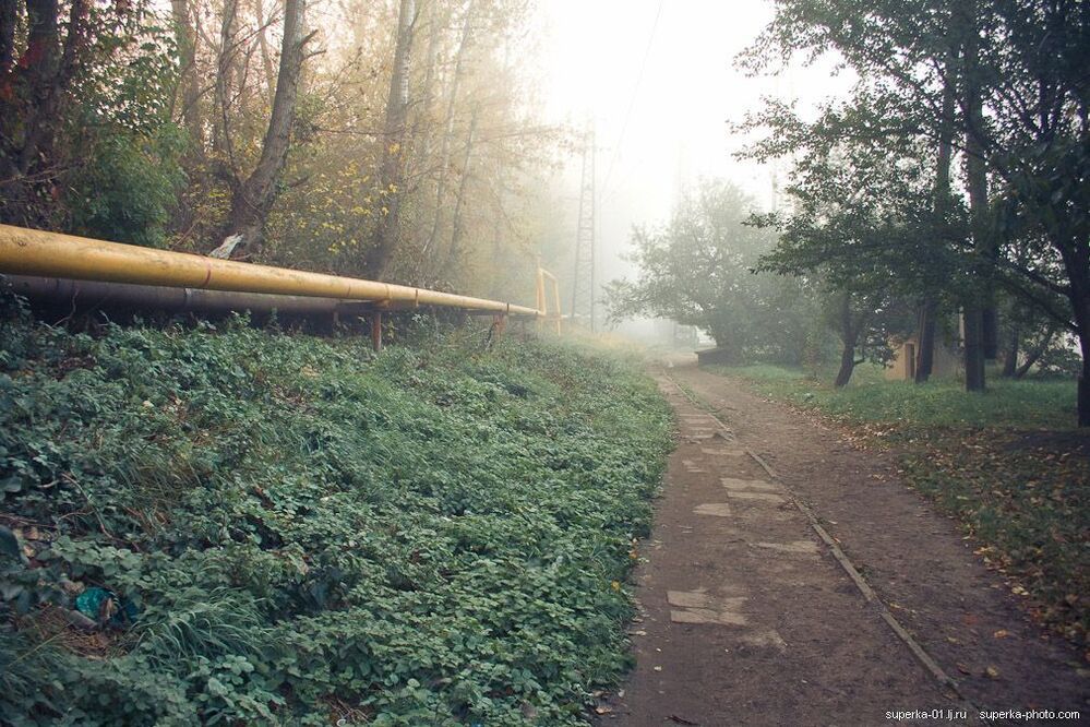 Сегодня утром