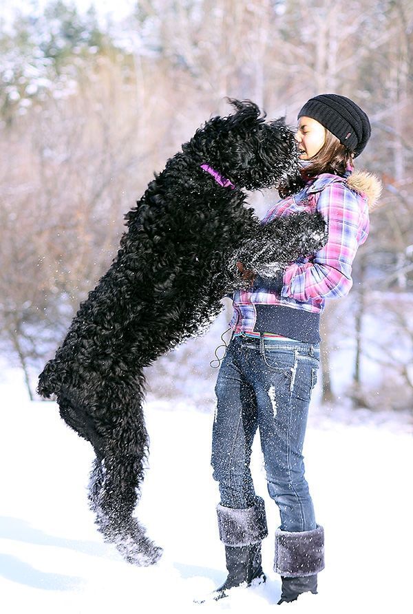 kiss me ...