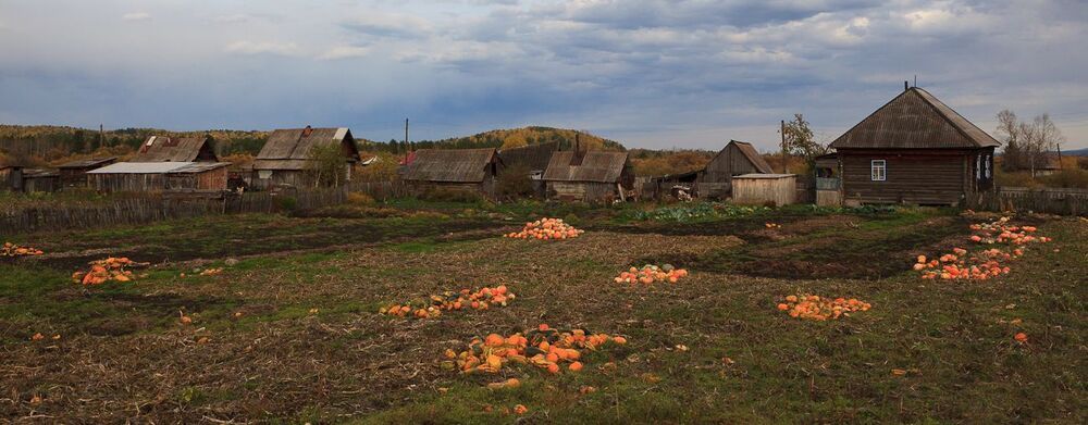Григорьевка, по тем временам последняя пограничная казацкая станица