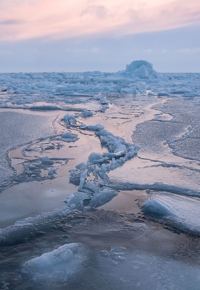 Обратная дорога в море