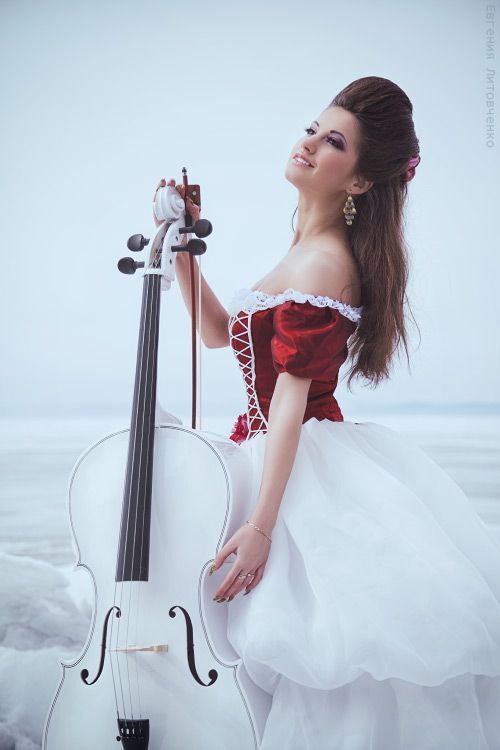 Соната ледяному морю (серия)