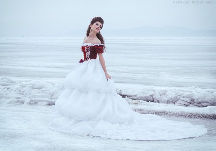 Соната ледяному морю (серия)