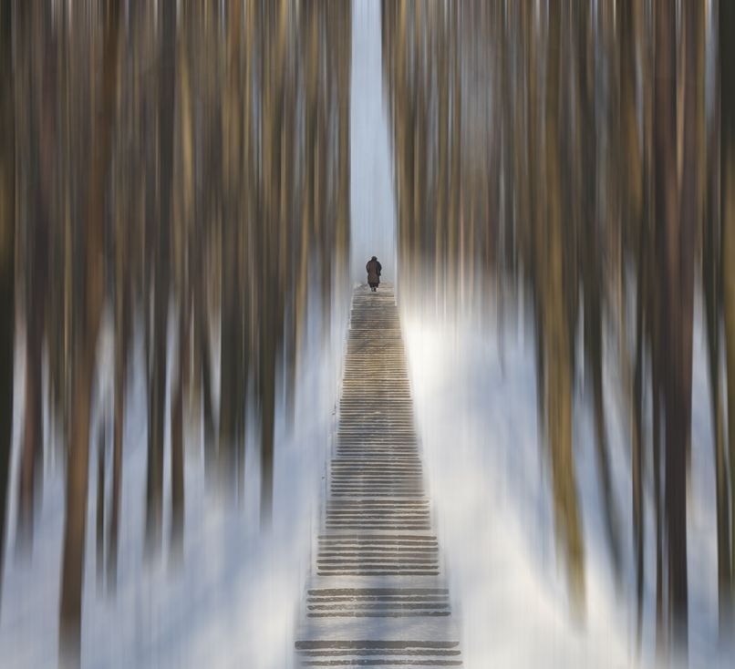 to the sky