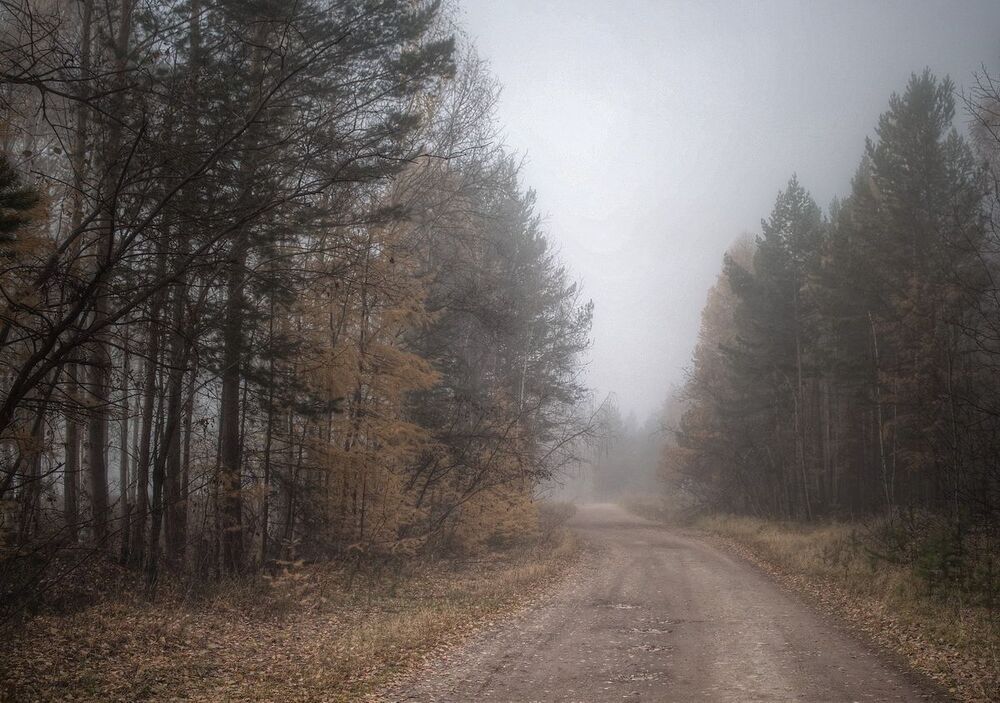 Дорогами сентября