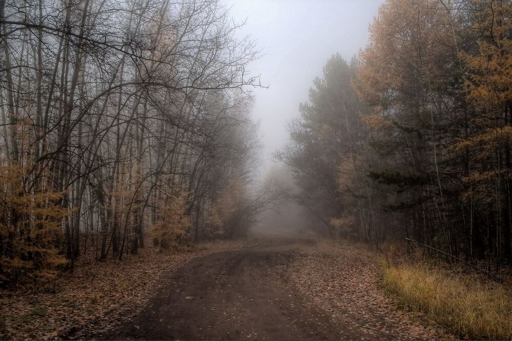Дорогами сентября