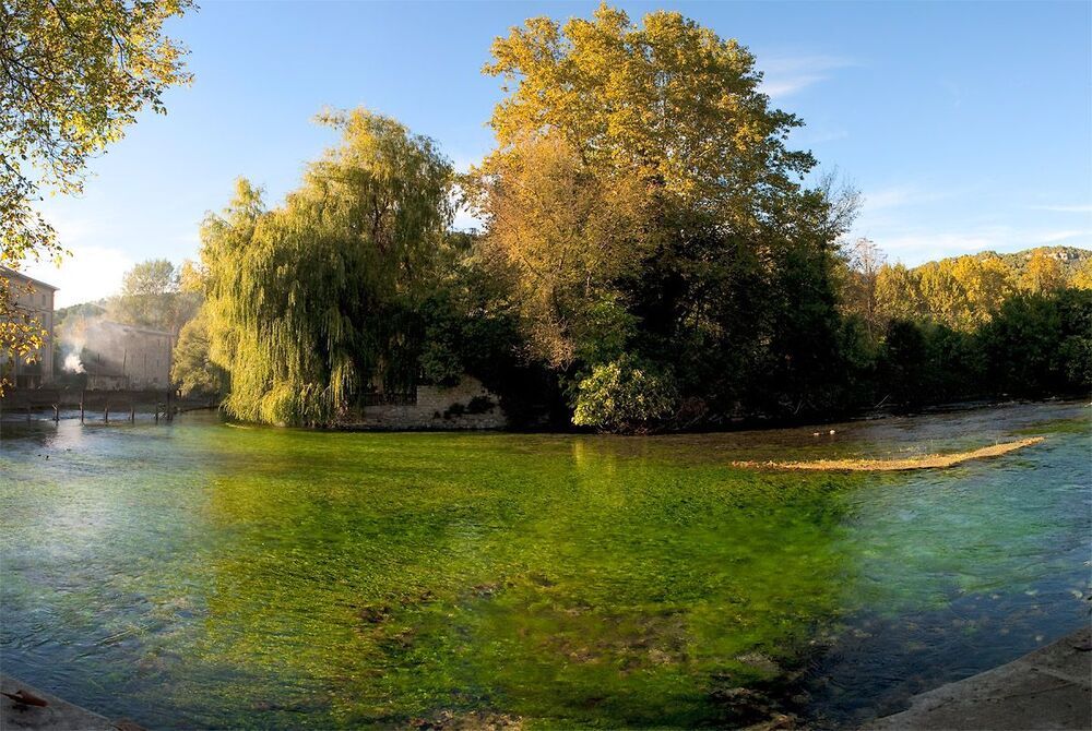 Зеленая река