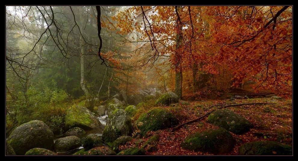 Vitosha