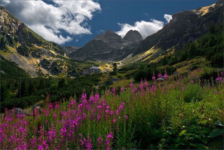 Rila/Maliovitsa