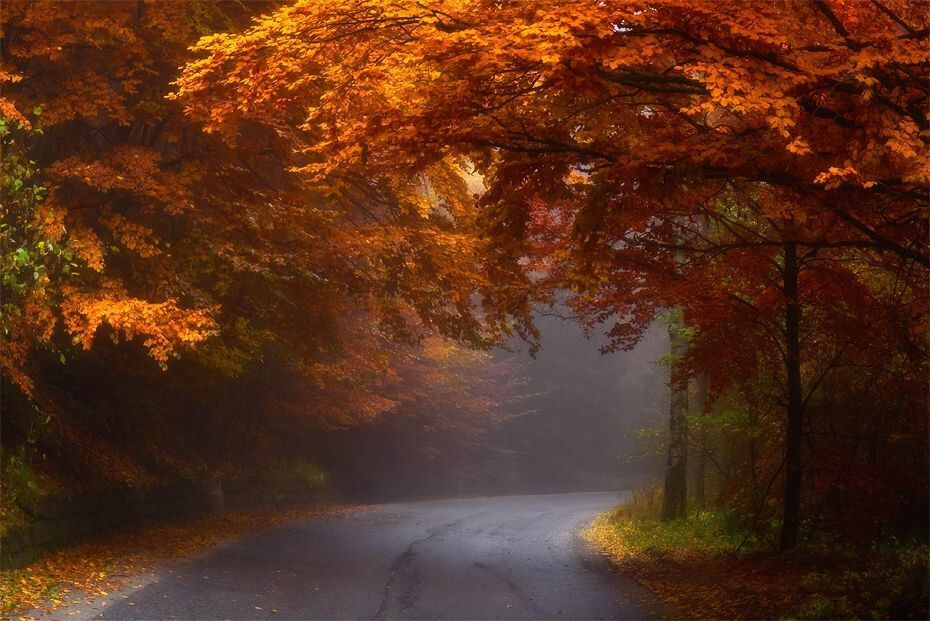 Autumn