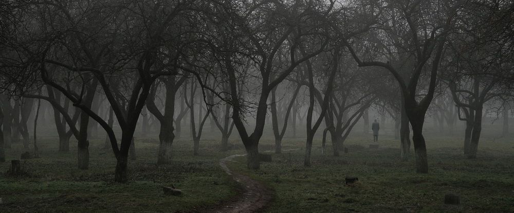 "Alone in the mistwood"