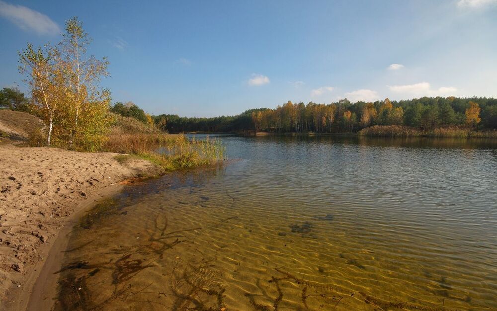 краски осенни