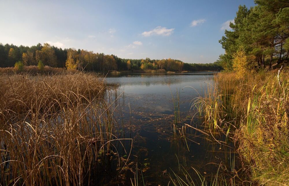 краски осенни