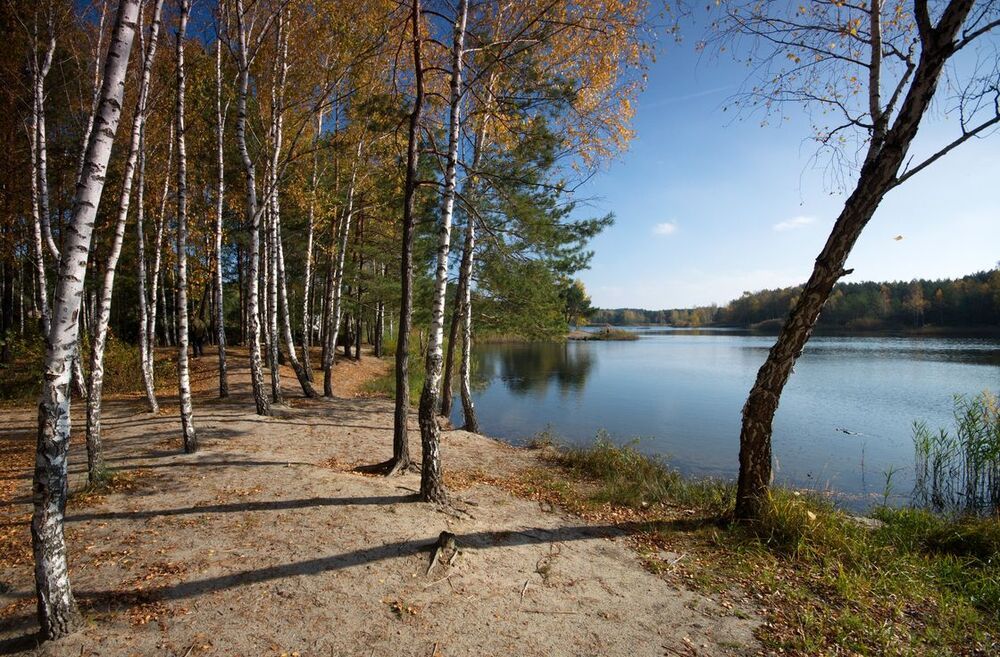 краски осенни