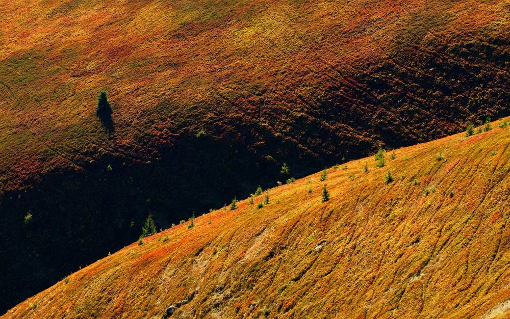 Осенняя палитра Боржавы