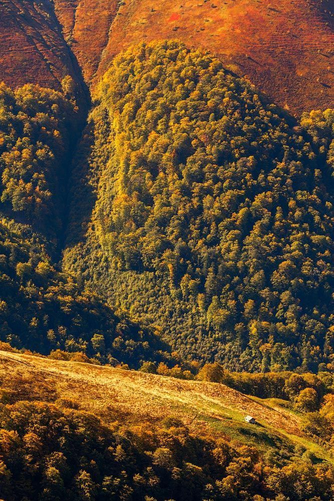 Осенняя палитра Боржавы
