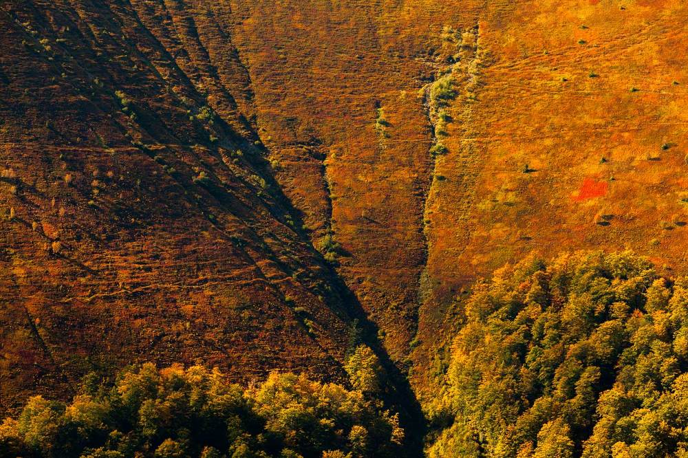 Осенняя палитра Боржавы