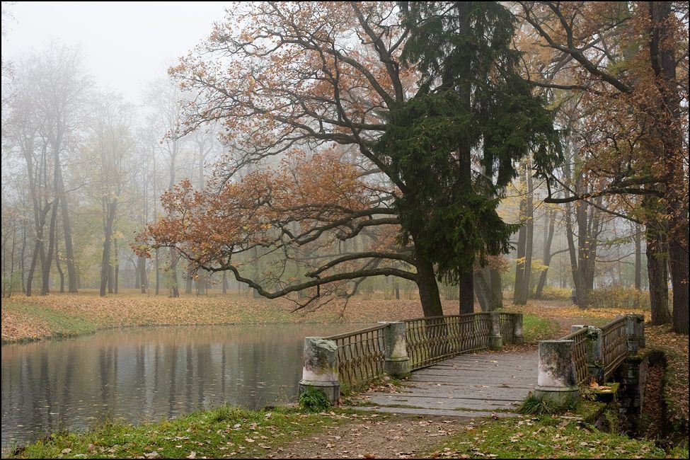 Misty